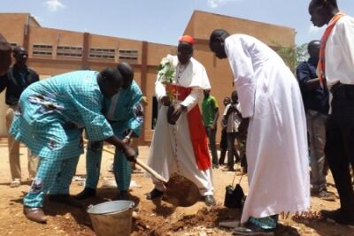 Plantation d'arbre pour perpétuer la mémoire de l'évènement